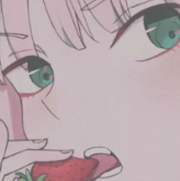 微生之最 的头像