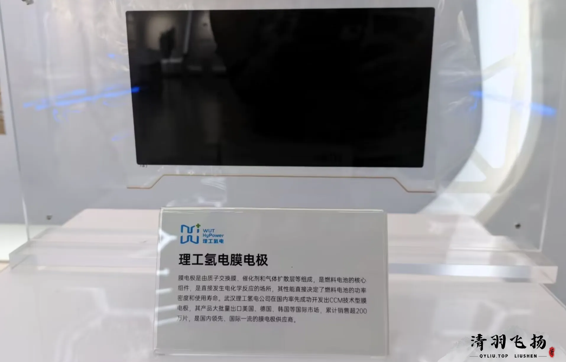 理工氢电膜电极