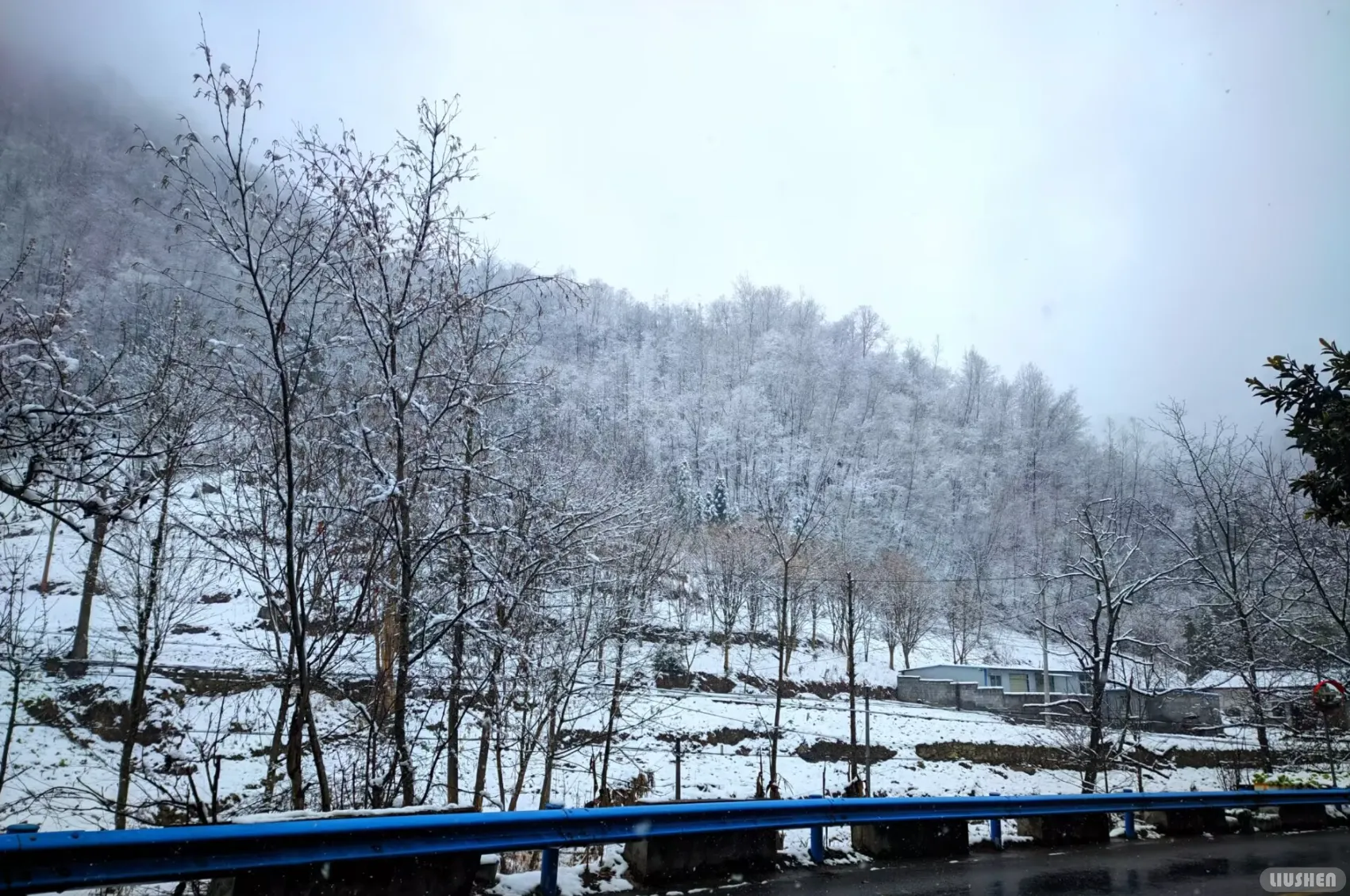 山上的白雪