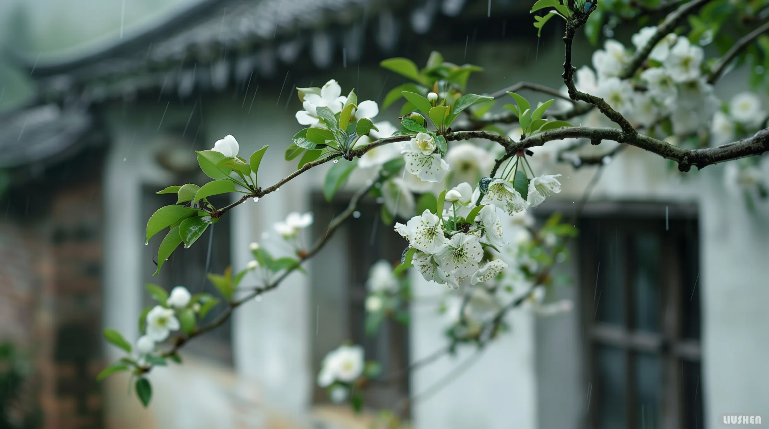 漂亮的碎花