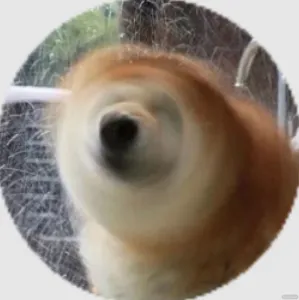 彬红茶日记 的头像