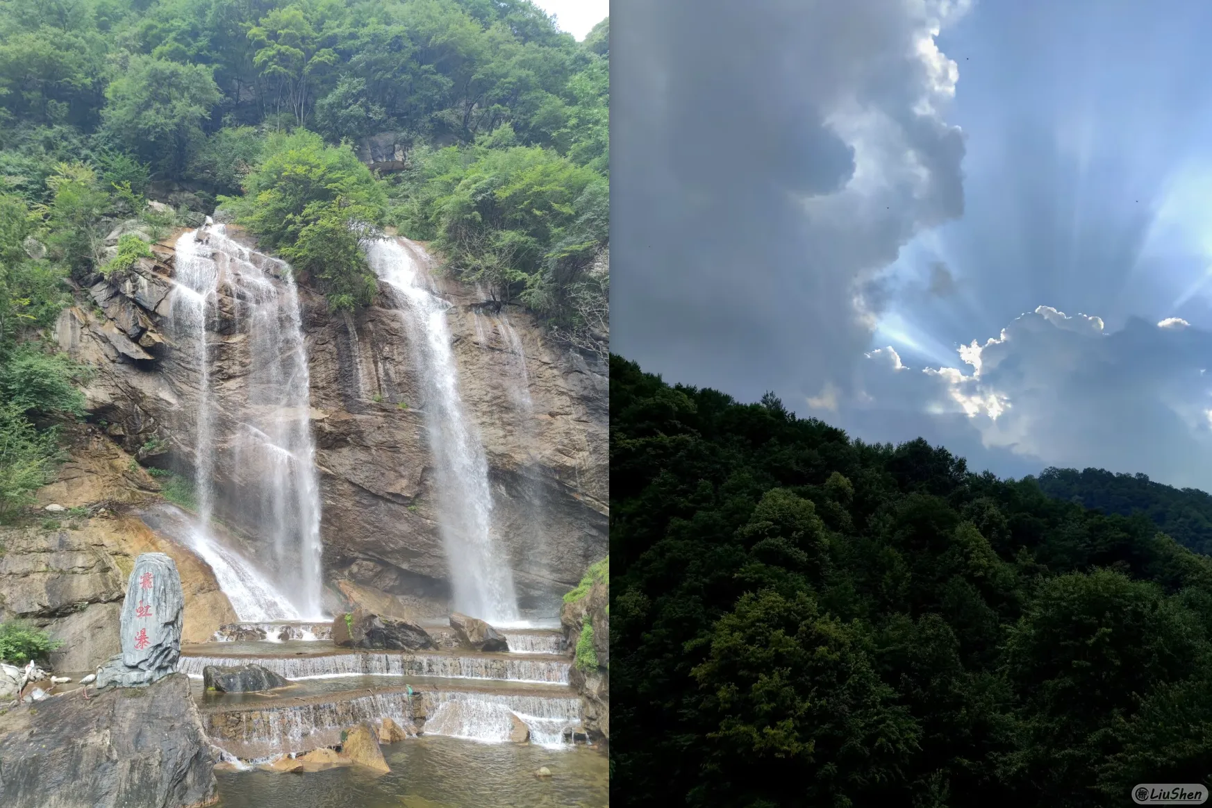 达达达……达利园效应!