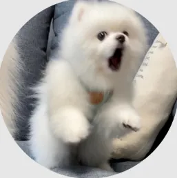 619 的头像