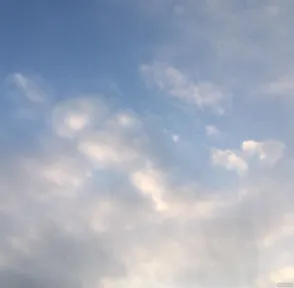 酥米的小站 的头像