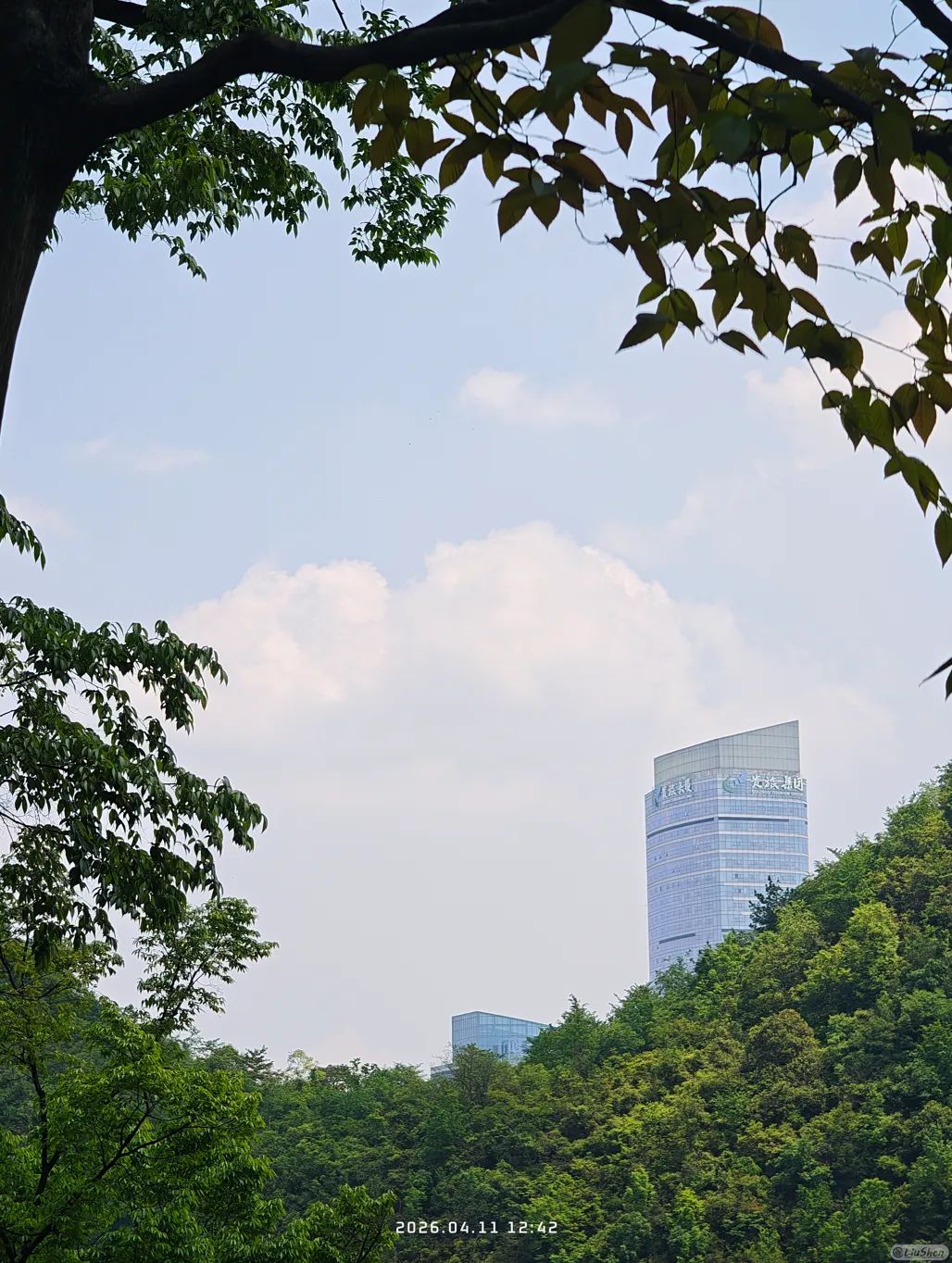 山,树,环绕现代化建筑