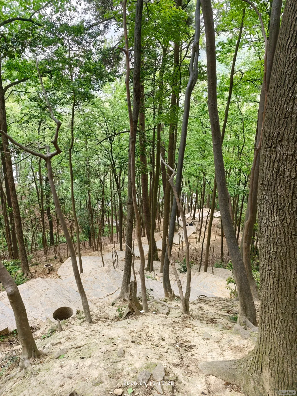 下山的路