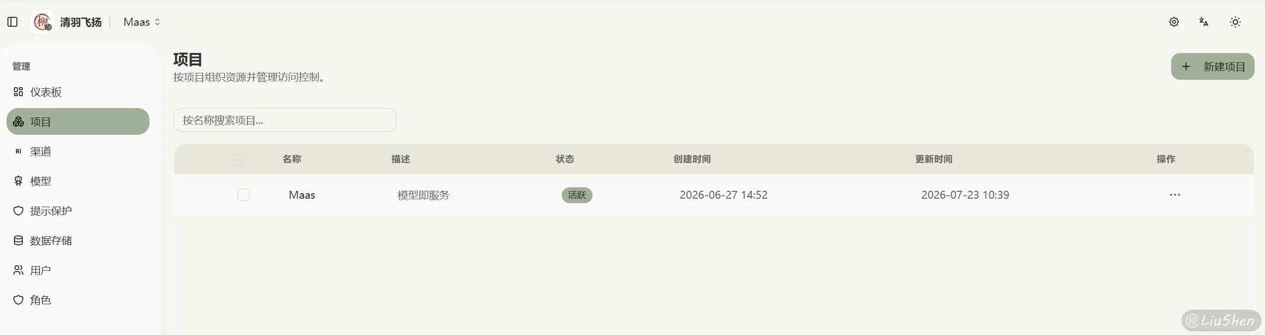项目